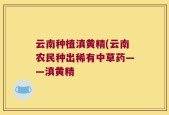 云南种植滇黄精(云南农民种出稀有中草药——滇黄精