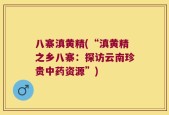 八寨滇黄精(“滇黄精之乡八寨：探访云南珍贵中药资源”)