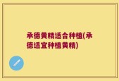 承德黄精适合种植(承德适宜种植黄精)
