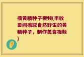 摘黄精种子视频(丰收田间摘取自然野生的黄精种子，制作美食视频)