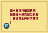 图木舒克种植滇黄精(新疆图木舒克新型农业：种植黄金药材滇黄精)