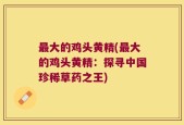 最大的鸡头黄精(最大的鸡头黄精：探寻中国珍稀草药之王)