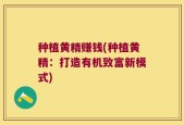 种植黄精赚钱(种植黄精：打造有机致富新模式)