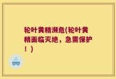 轮叶黄精濒危(轮叶黄精面临灭绝，急需保护！)