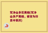 梵净山多花黄精(梵净山多产黄精，被誉为珍贵中草药)