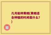 几月能种黄精(黄精适合种植的时间是什么？)
