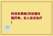 狗误食黄精(狗犯错吃错药物，主人设法治疗)