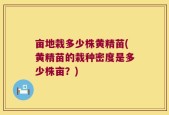 亩地栽多少株黄精苗(黄精苗的栽种密度是多少株亩？)