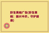 野生黄精广告(野生黄精：振兴中药，守护健康)