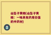 山坠子黄精(山坠子黄精：一味具有药用价值的中药材)