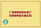 广安黄精种苗批发(广安黄精种苗大量批发)