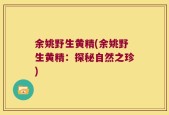 余姚野生黄精(余姚野生黄精：探秘自然之珍)