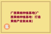 广西黄精种植基地(广西黄精种植基地：打造黄精产业新未来)