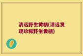 清远野生黄精(清远发现珍稀野生黄精)