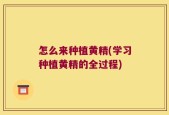 怎么来种植黄精(学习种植黄精的全过程)