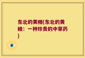 东北的黄精(东北的黄精：一种珍贵的中草药)