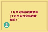 十月中旬能移栽黄精吗(十月中旬适宜移栽黄精吗？)