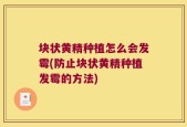 块状黄精种植怎么会发霉(防止块状黄精种植发霉的方法)