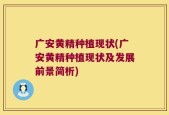 广安黄精种植现状(广安黄精种植现状及发展前景简析)