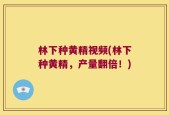 林下种黄精视频(林下种黄精，产量翻倍！)