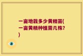 一亩地栽多少黄精苗(一亩黄精种植需几株？)