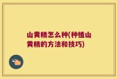 山黄精怎么种(种植山黄精的方法和技巧)