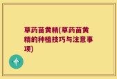 草药苗黄精(草药苗黄精的种植技巧与注意事项)