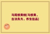 马尾根黄精(马根黄，古法良方，养生佳品)