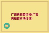 广西黄精苗价格(广西黄精苗市场行情)