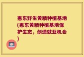 惠东野生黄精种植基地(惠东黄精种植基地保护生态，创造就业机会)