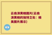 云南滇黄精图片(云南滇黄精的独特之处：精美图片展示)
