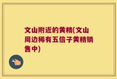 文山附近的黄精(文山周边稀有五倍子黄精销售中)