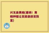 兴文县黄精(重磅！黄精种植让贫困县脱贫致富)