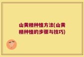 山黄精种植方法(山黄精种植的步骤与技巧)
