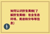 如何认识野生黄精(了解野生黄精：包含生态环境、用途和分布等信息)