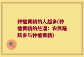种植黄精的人越多(种植黄精的热潮：农民踊跃参与种植黄精)