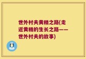 世外村夫黄精之路(走近黄精的生长之路——世外村夫的故事)