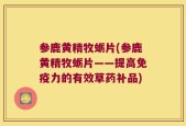 参鹿黄精牧蛎片(参鹿黄精牧蛎片——提高免疫力的有效草药补品)