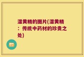 湿黄精的图片(湿黄精：传统中药材的珍贵之处)