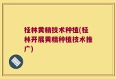 桂林黄精技术种植(桂林开展黄精种植技术推广)