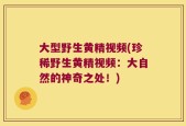 大型野生黄精视频(珍稀野生黄精视频：大自然的神奇之处！)