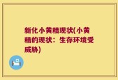 新化小黄精现状(小黄精的现状：生存环境受威胁)