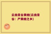 云南景谷黄精(云南景谷：产黄精之乡)