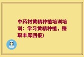 中药材黄精种植培训培训：学习黄精种植，赚取丰厚回报)