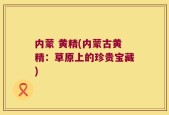 内蒙 黄精(内蒙古黄精：草原上的珍贵宝藏)