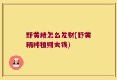 野黄精怎么发财(野黄精种植赚大钱)