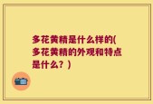 多花黄精是什么样的(多花黄精的外观和特点是什么？)