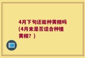4月下旬还能种黄精吗(4月末是否适合种植黄精？)