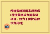 种植黄精算国家项目吗(种植黄精成为国家级项目，致力于保护这种珍贵药材)