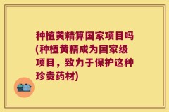 种植黄精算国家项目吗(种植黄精成为国家级项目,致力于保护这种珍贵药材)